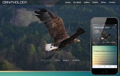 Ornithology An Animal Category Flat Bootstrap Responsive Web Template