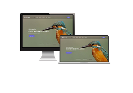 Birds Care – Animals Category Bootstrap Responsive Web Template