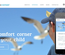 Kids Corner a Educational Multipurpose Flat Bootstrap Responsive web template