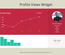 Profile Views Widget Responsive Template