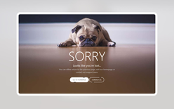 Pug Error Page Widget Template