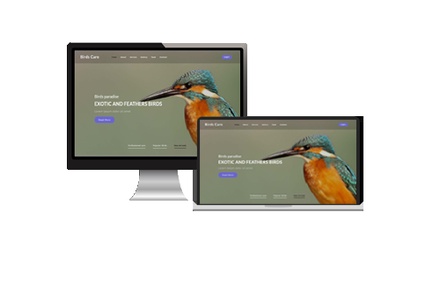 Birds Care – Animals Category Bootstrap Responsive Web Template