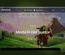 Historical Games a Games Category Flat Bootstrap Responsive Web Template