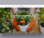 Plants – Agriculture Category Bootstrap Responsive Web Template