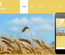 Pycarp a Agriculture Category Flat Bootstrap Responsive web template