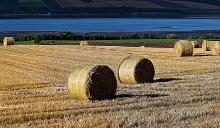 Agri an Agriculture Category Flat Bootstrap Responsive Web Template