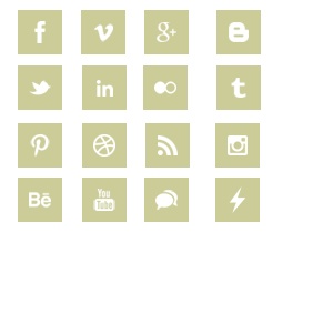 Social Media Responsive Widget Template