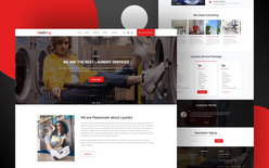 Washing Website Template