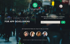 Triumph Flat Responsive Widget Template