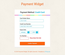 Payment Widget Form Responsive Template