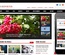 The New Reporter a Entertainment Category Flat Bootstrap Responsive Web Template