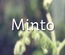 Minto a Corporate Multipurpose Flat Bootstrap Responsive web template