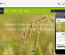 Agro firm a Agriculture Category Flat Bootstrap Responsive Web Template